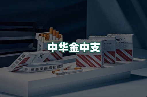 中华金中支
